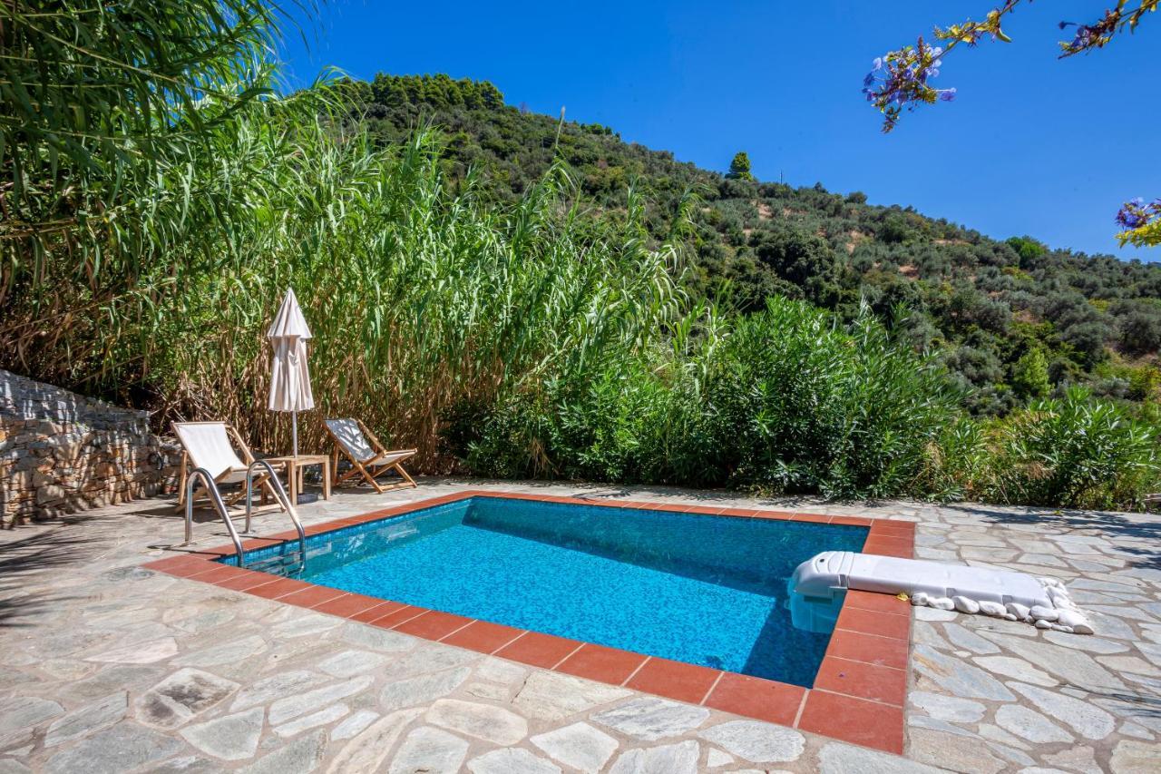 Olea Skopelos Villas With Swimming Pools & Sea View Panormos  外观 照片