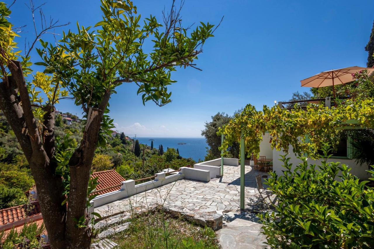 Olea Skopelos Villas With Swimming Pools & Sea View Panormos  外观 照片