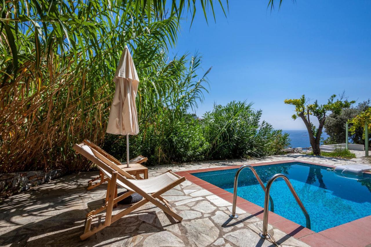 Olea Skopelos Villas With Swimming Pools & Sea View Panormos  外观 照片