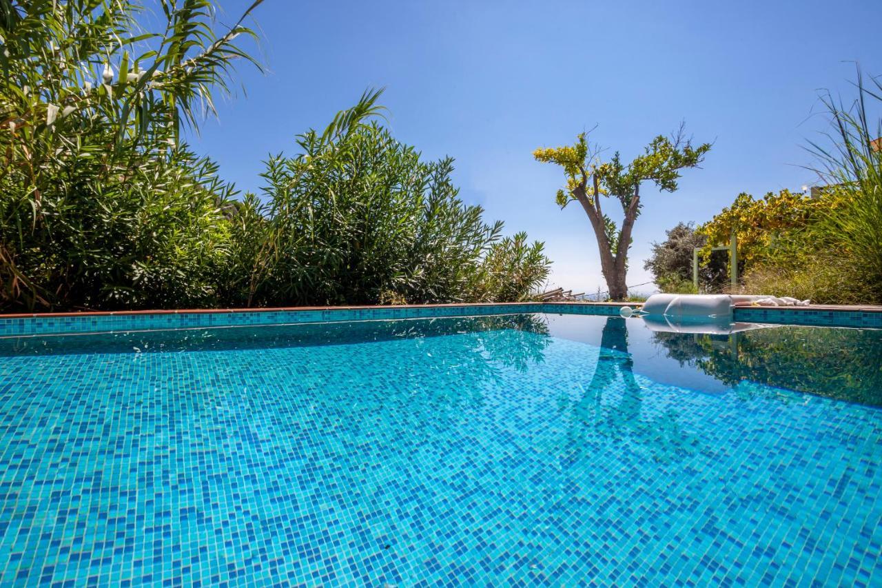 Olea Skopelos Villas With Swimming Pools & Sea View Panormos  外观 照片